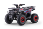 ATV – Quad für Kinder Beneo Motors WARRIOR Rot – 125 cc
