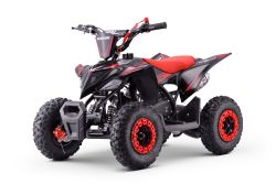 ATV - Mini-Quad für Kinder Beneo Motors Adventure Rot - 50cc