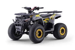 ATV – Quad für Kinder Beneo Motors WARRIOR Gelb – 125 cc